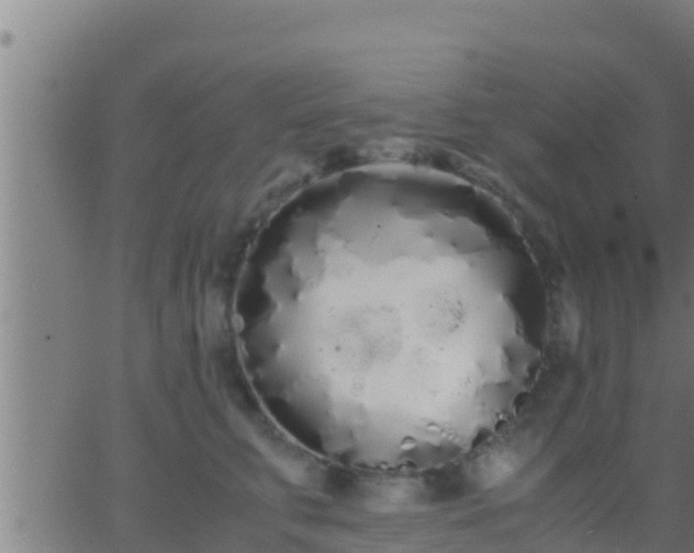 X0000062900711200601201911