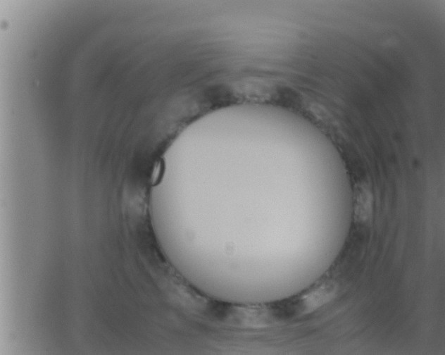 X0000062900713200601201911