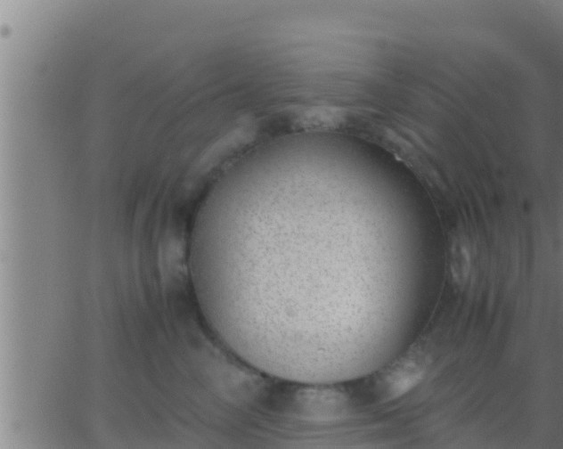 X0000062900714200601201911