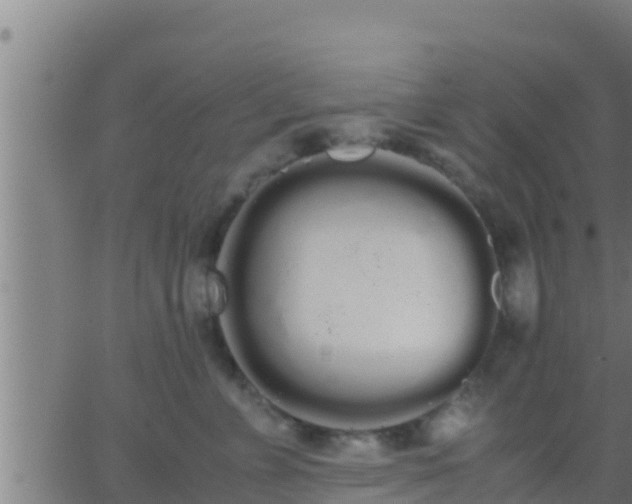 X0000062900715200601201911