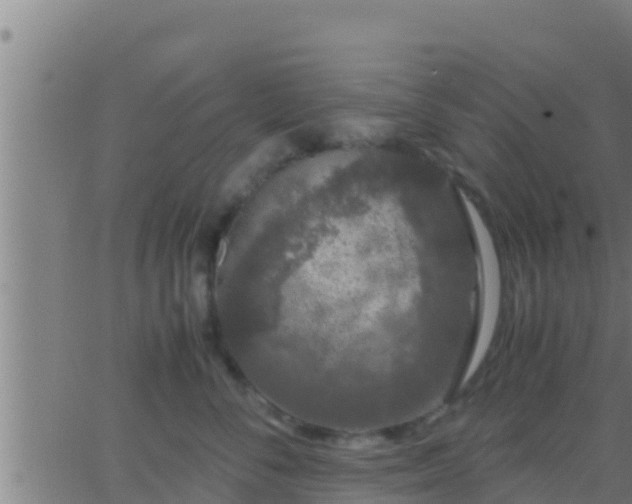 X0000062900716200601201911