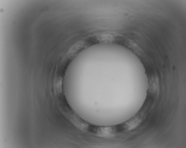 X0000062900717200601201911