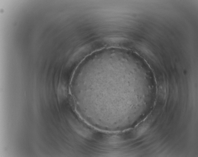 X0000062900718200601201911