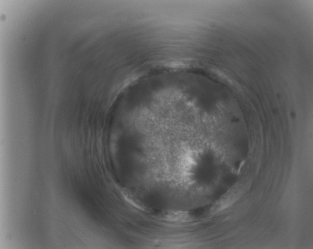 X0000062900720200601201911