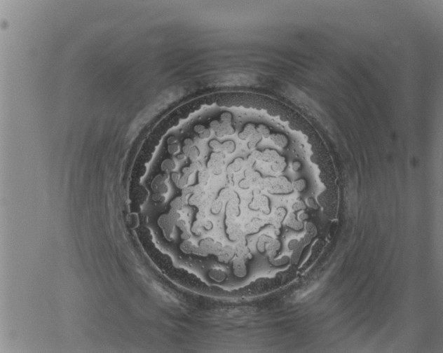 X0000062900721200601201910