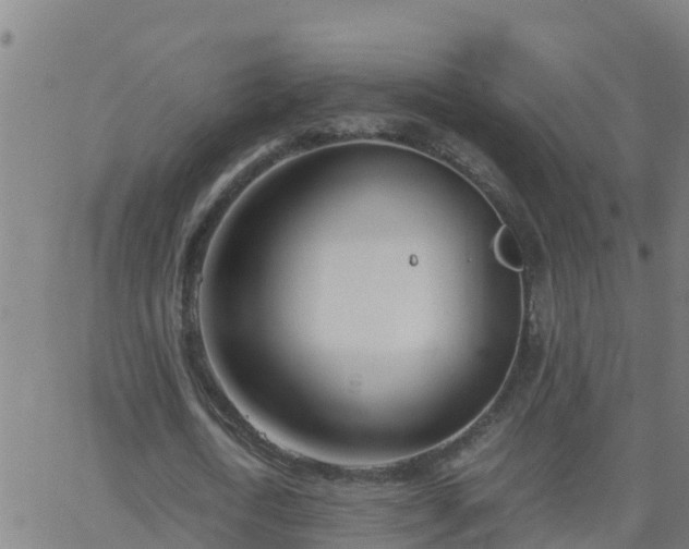 X0000062900722200601201910