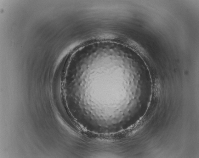 X0000062900726200601201910