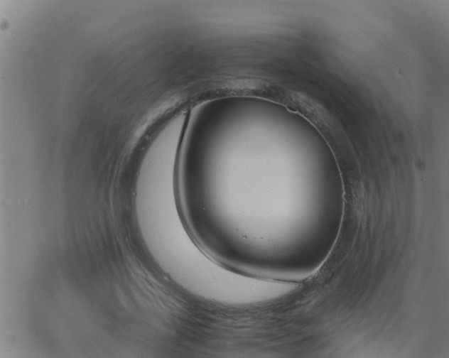 X0000062900731200601201910