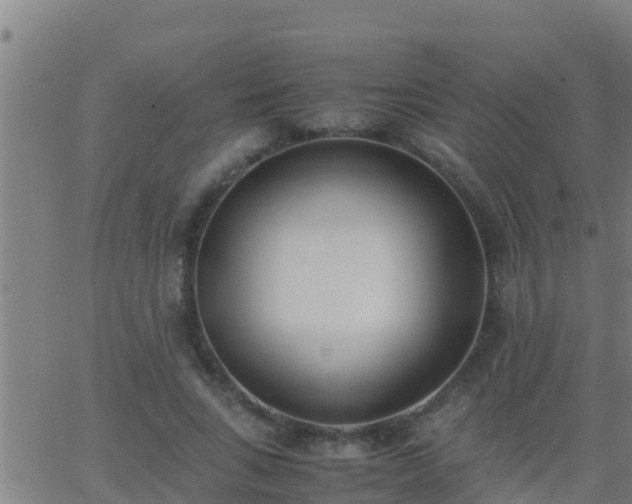 X0000062900735200601201910