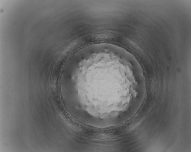 X0000062900737200601201910