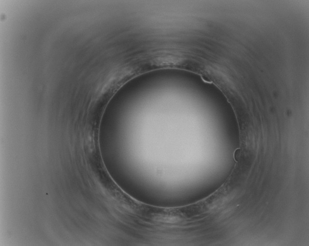 X0000062900743200601201910