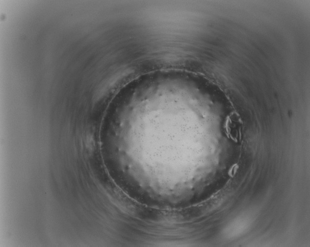 X0000062900746200601201910