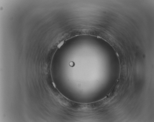 X0000062900750200601201910