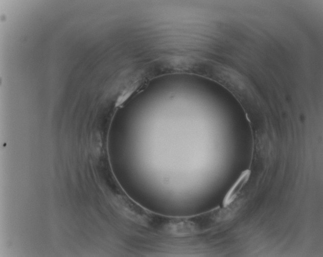 X0000062900752200601201910