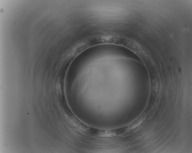 X0000062900754200601201910