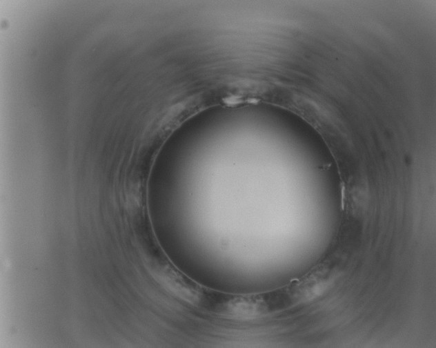 X0000062900756200601201911