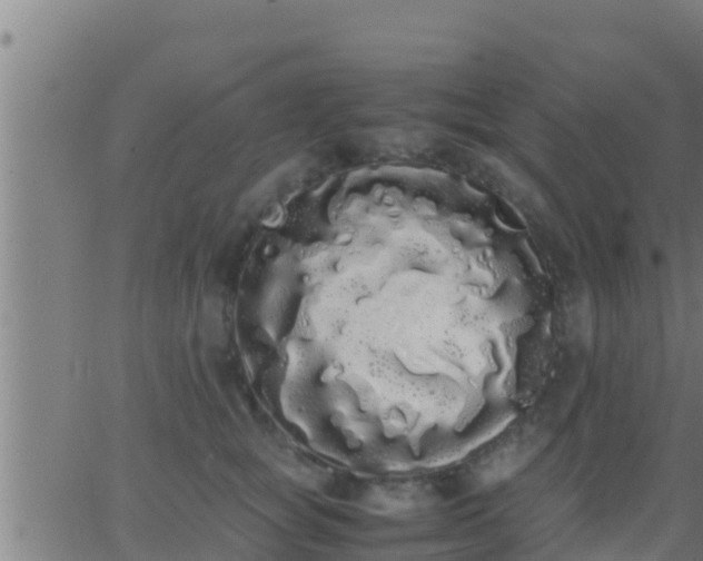 X0000062900757200601201911