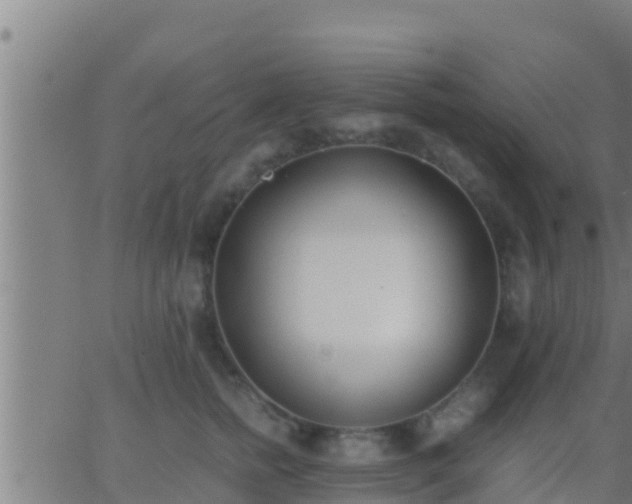 X0000062900758200601201911