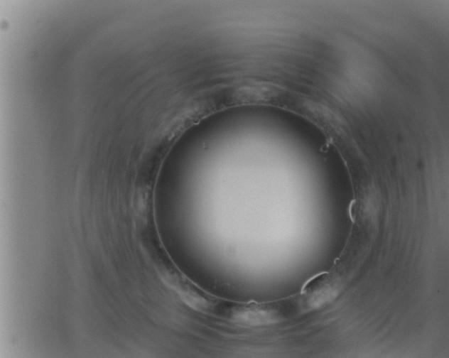 X0000062900759200601201911