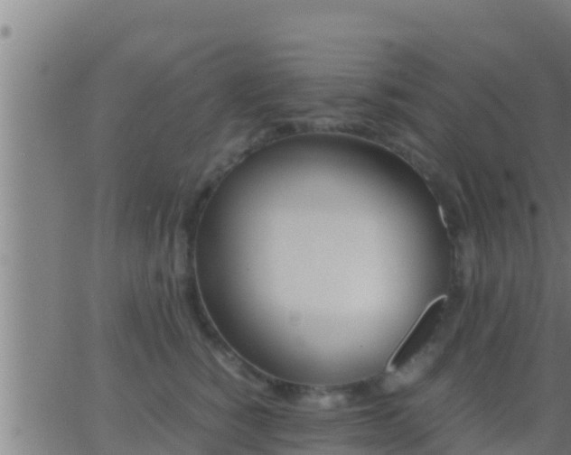 X0000062900760200601201911