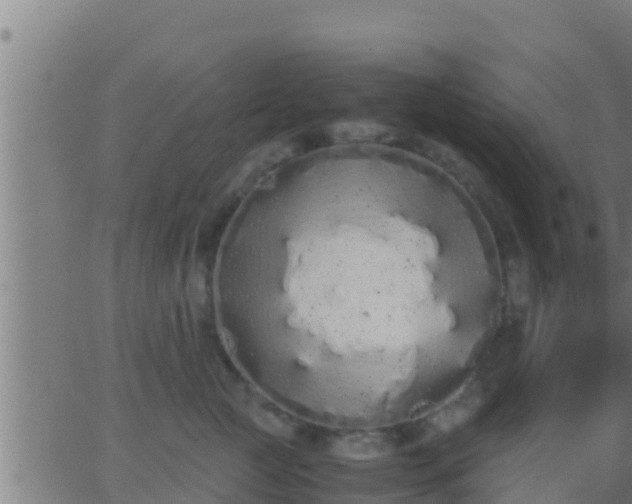 X0000062900761200601201911