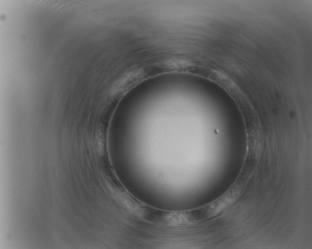 X0000062900762200601201911