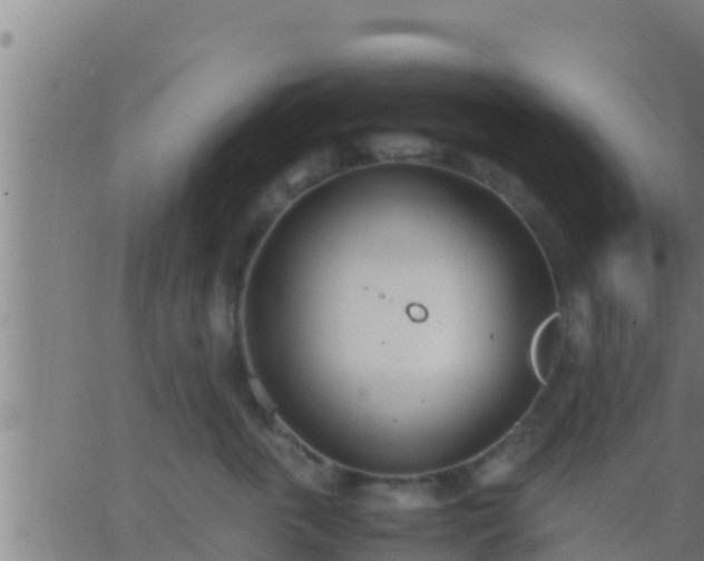 X0000062900763200601201911