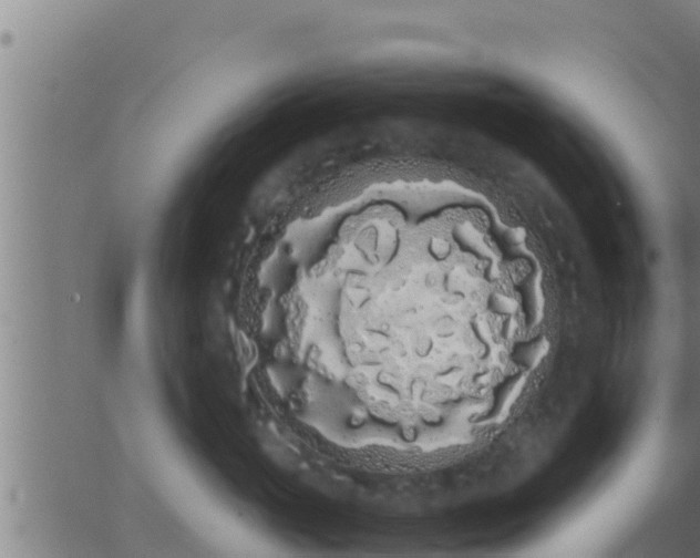 X0000062900765200601201911