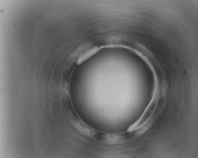 X0000062900766200601201911