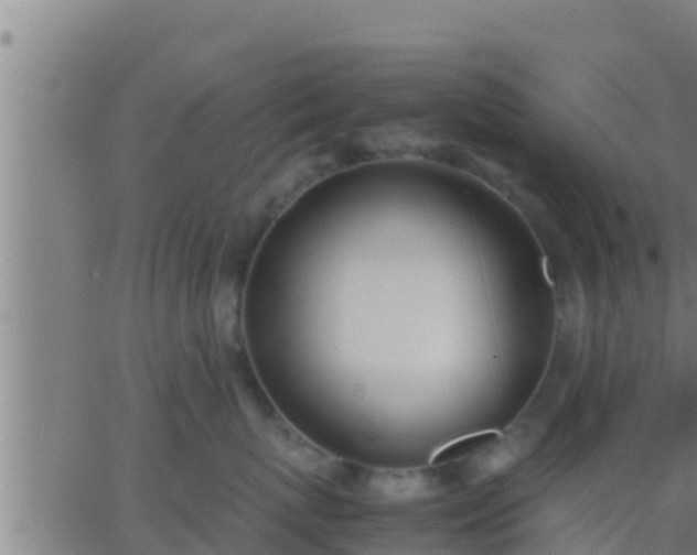 X0000062900767200601201911