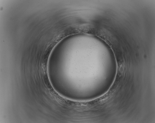 X0000062900772200601201910