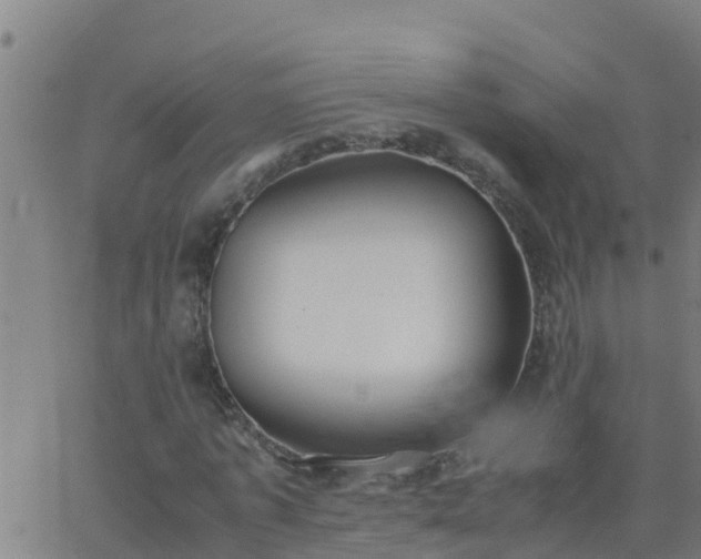 X0000062900773200601201910