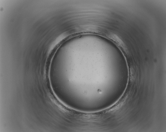 X0000062900780200601201910