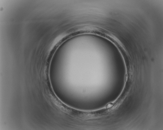 X0000062900783200601201910