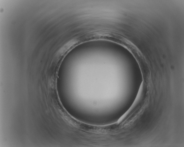 X0000062900785200601201910