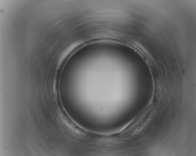 X0000062900788200601201910