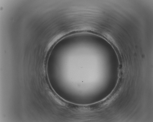 X0000062900789200601201910