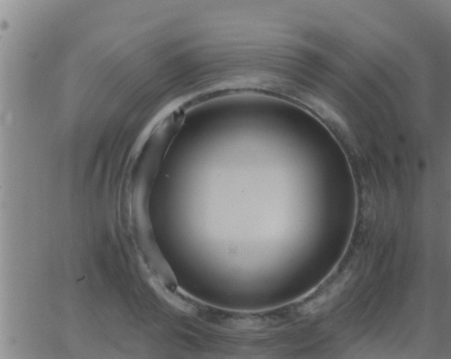 X0000062900792200601201910