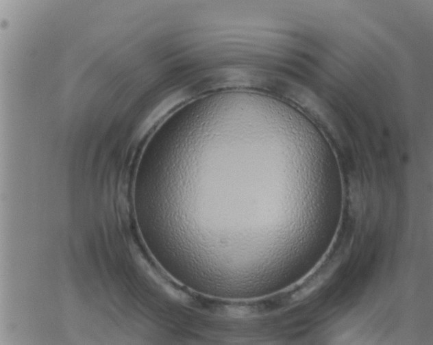 X0000062900794200601201910