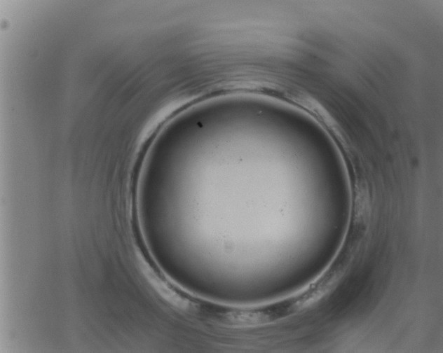 X0000062900795200601201910