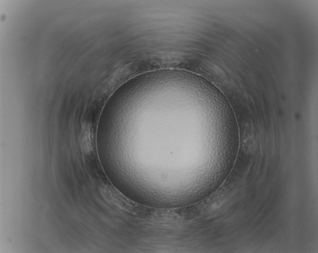 X0000062900866200601201908