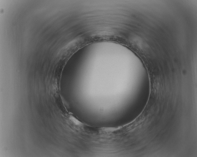 X0000062901062200601201905
