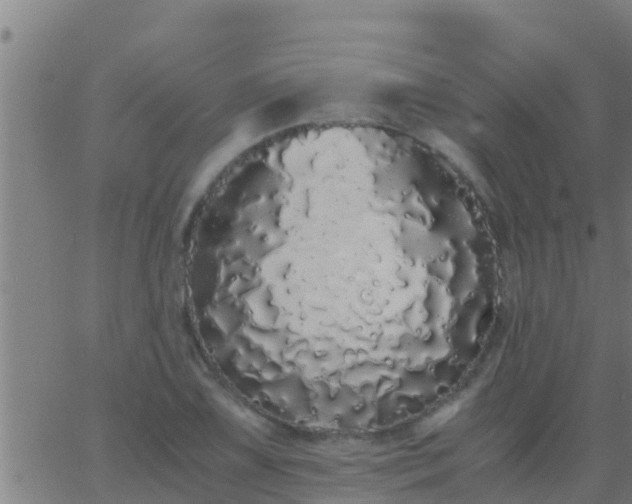 X0000062901075200601201905