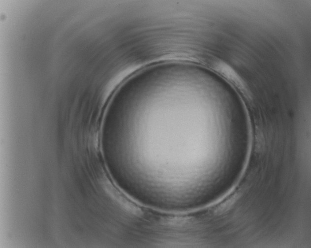 X0000062901284200601201901
