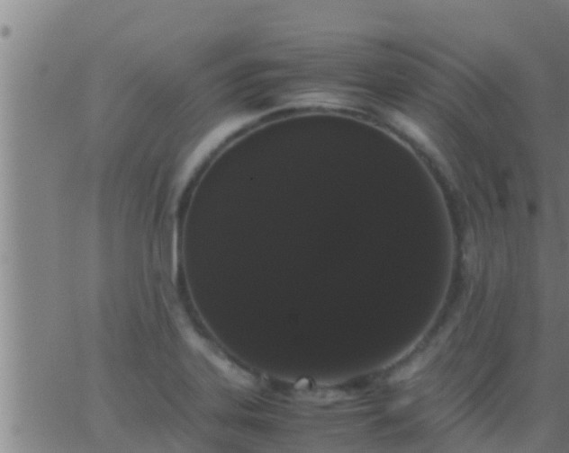 X0000062901323200601201901