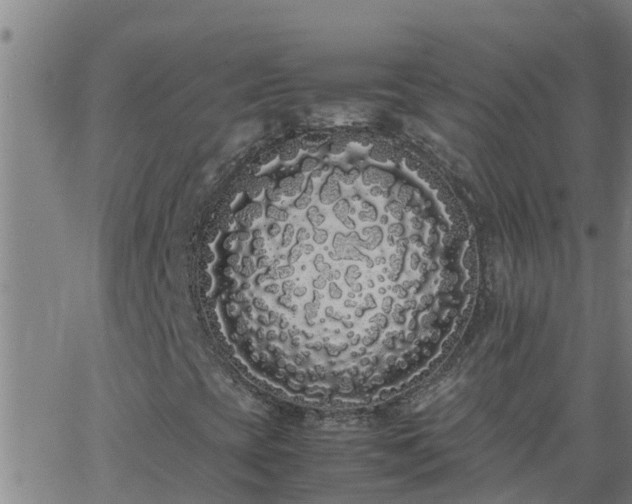 X0000062901393200601201859