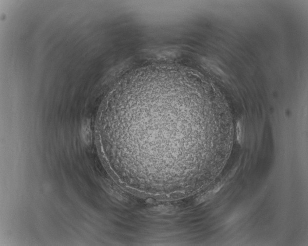 X0000062901395200601201859