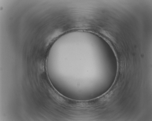 X0000062901451200601201859