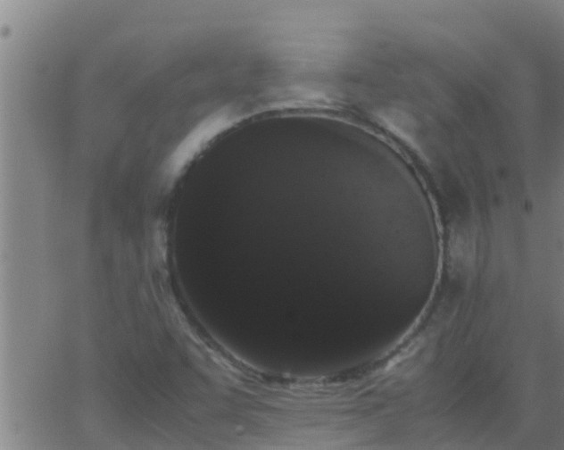X0000062901455200601201859
