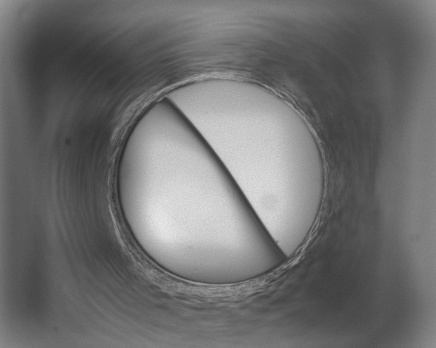 X0000062900001200601271726